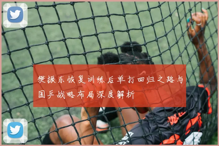 樊振东恢复训练后单打回归之路与国乒战略布局深度解析