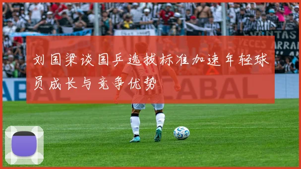 刘国梁谈国乒选拔标准加速年轻球员成长与竞争优势